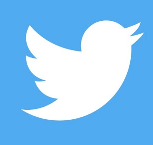 twitterlogo - klein